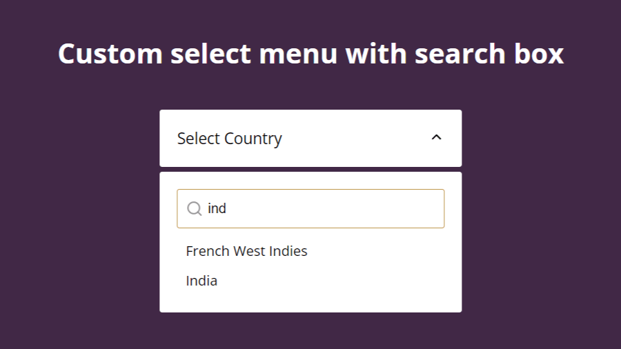 HTML CSS and JS Custom Select Menu With Search Box